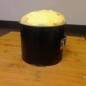 panettone fermentado